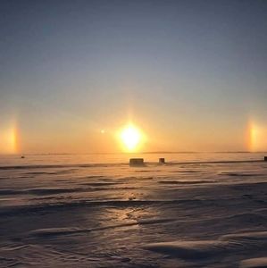 Meet your Posher, Betsy